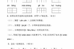 二年级上册语文期中考试试卷,二年级上册语文期中考试试卷内容概览