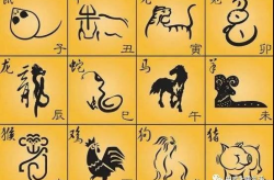 十二生肖排列顺序表,揭秘中国传统文化中的生肖排序奥秘