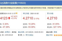 110022基金净值今日,波动与趋势洞察