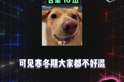 吃瓜娱乐代表,揭秘娱乐圈幕后故事