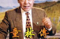 单田芳评书网童林传,单田芳演绎的武林传奇，正义与智慧的较量