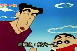 小新看娱乐,揭秘童趣视角下的娱乐世界