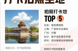 上海娱乐榜,潮流风向标，揭秘都市娱乐新趋势