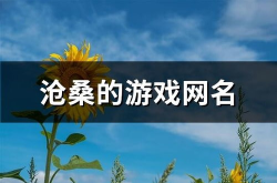 沧桑的网名,探寻内心深处的故事与情感